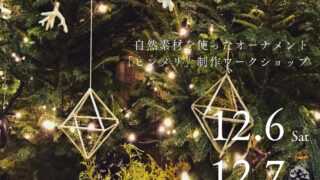 オーナメント「ヒンメリ」制作ワークショップ（北欧のクリスマスを体験しよう！）