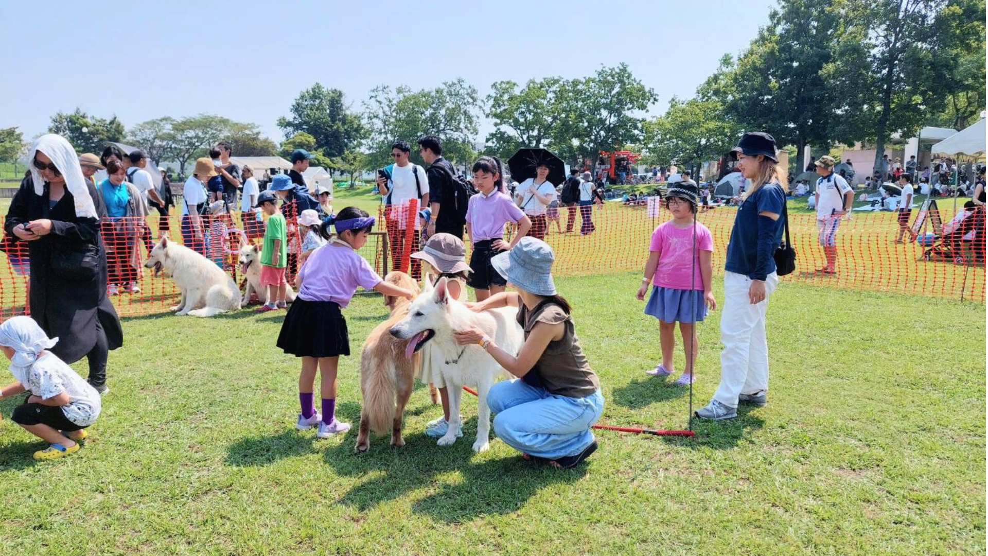 【無料参加OK】小戸公園で冬の祭典「オドフェス2025」開催決定!※11月30日(日)。